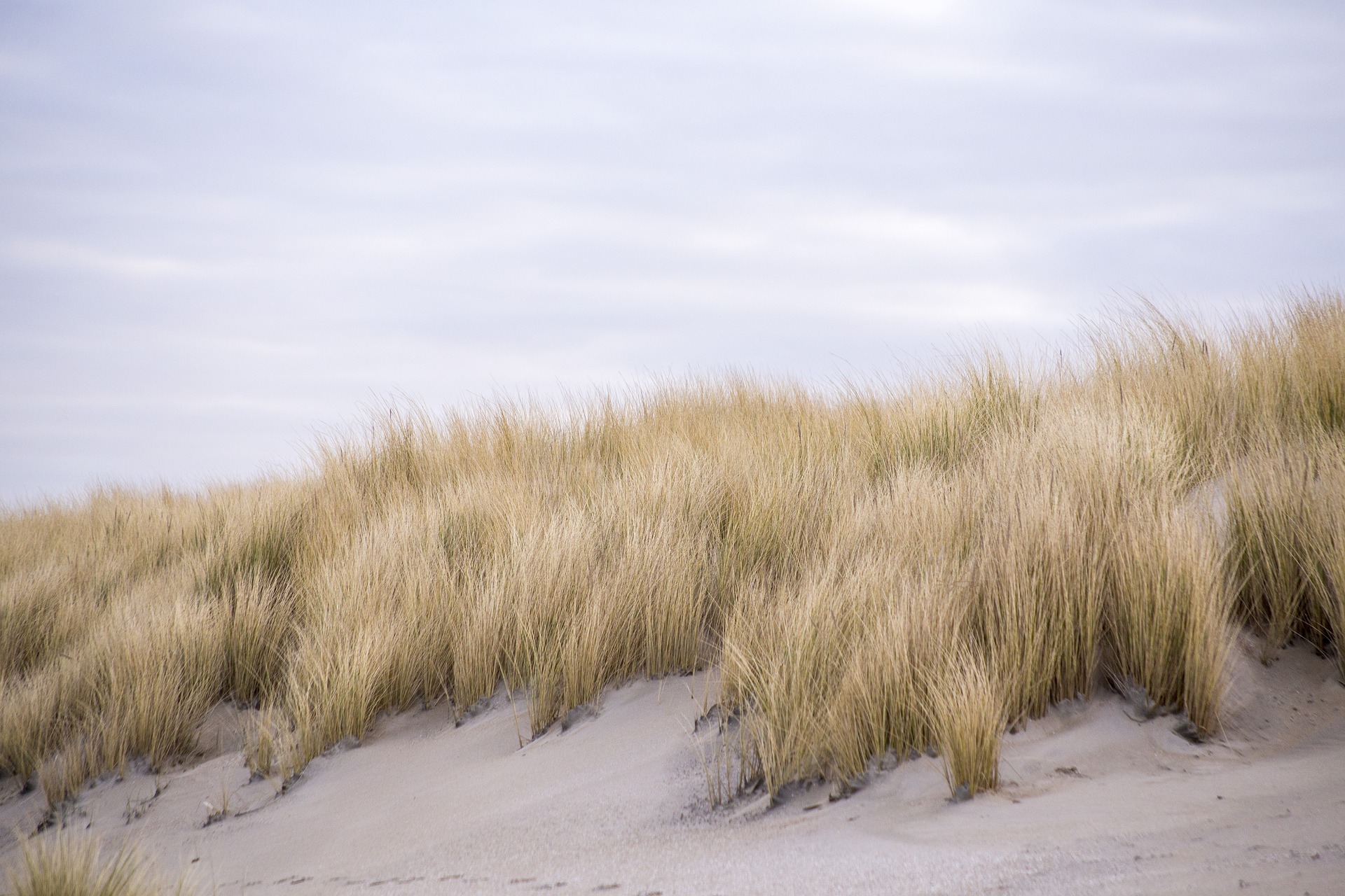 cruiseschepen in Scheveningen